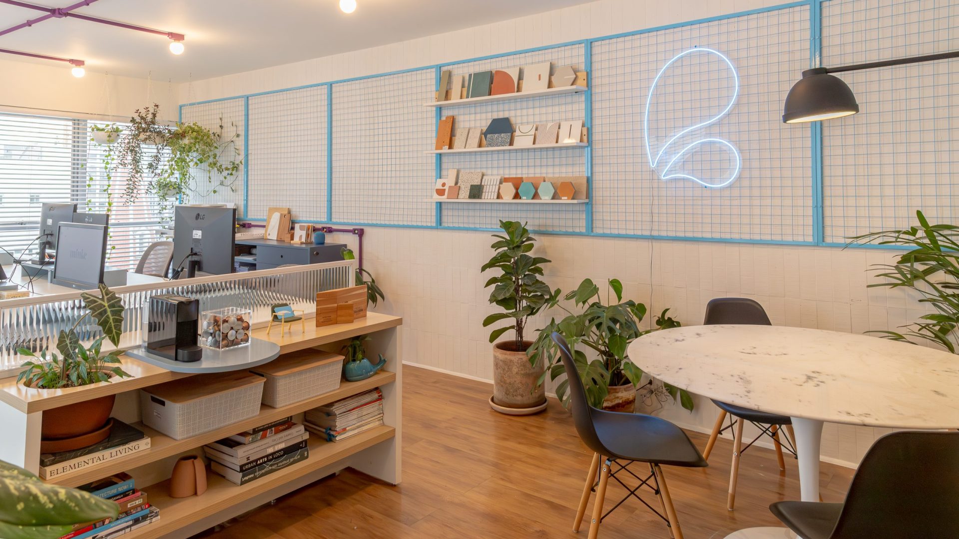 Minke _ 12 de Jun 2025-005