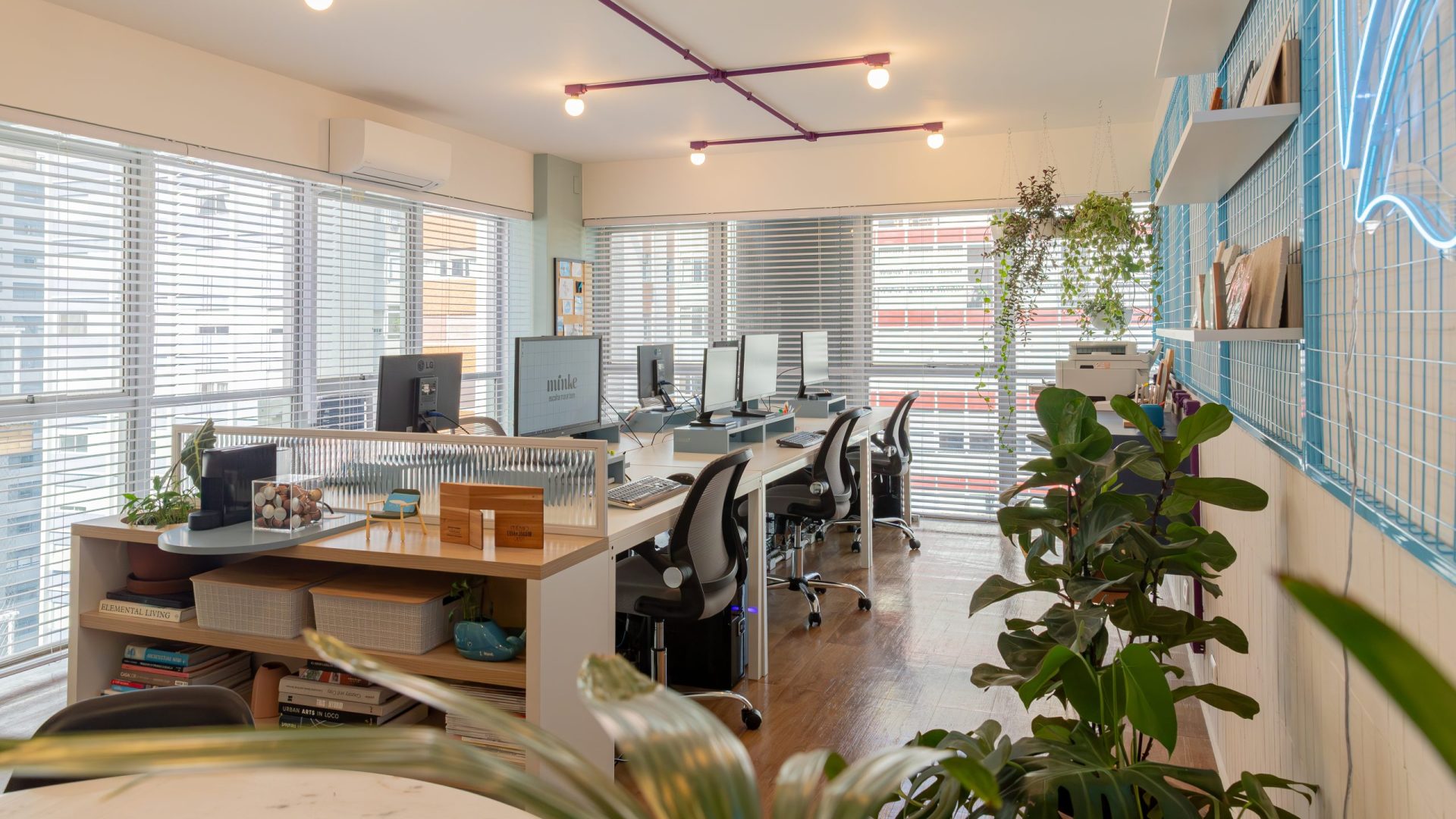 Minke _ 12 de Jun 2025-014